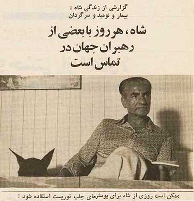 بیمار و نومید و سرگردان